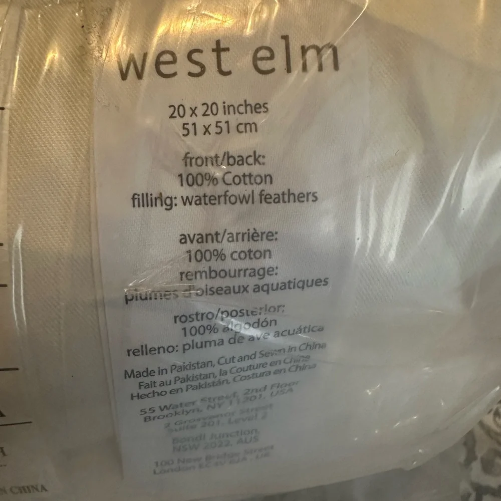 West Elm down pillow insert 20X20